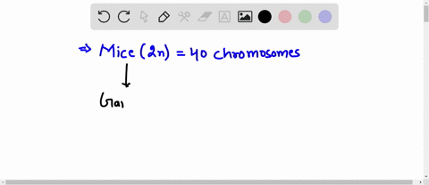 cq2-the-diploid-chromosome-number-in-standard-laboratory-mice-genus-mus-is-40-what-is-n-for-this-organism-27629