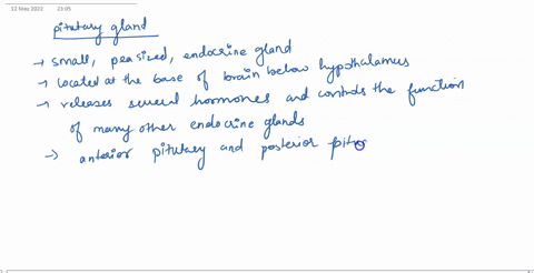 question-38-what-wide-acting-pituitary-hormone-targets-cells-throughout-the-body-adrenocorticotropic-hormone-thyroid-stimulating-hormone-gonadotropin-growth-hormone-prolactin-51807