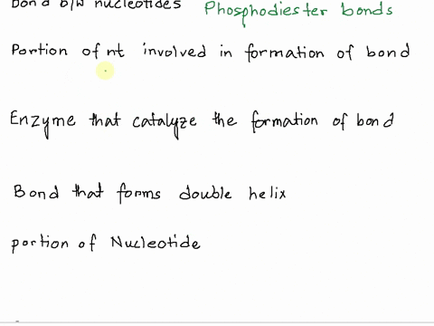 3-one-strand-of-portion-of-a-dna-molecule-has-the-following-sequence_-5-t-g-c-c-g-a-3-a-what-is-the-complimentary-sequence-to-this-given-sequence-b-what-kind-of-bond-joins-one-nucleotide-to-68862