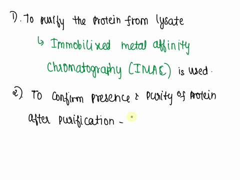 you-are-assigned-to-purify-a-protein-from-an-ecoli-cell-lysate-the-following-information-is-provided-to-you-about-the-target-protein-the-protein-has-an-n-terminal-6x-histidine-tag-his-tag-at-90564