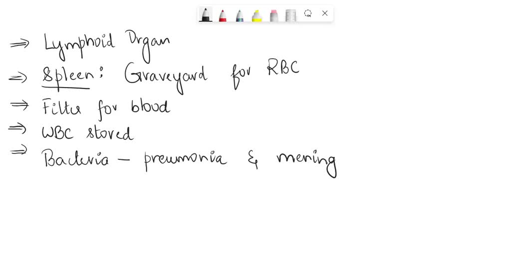 SOLVED 1. What is the main functional difference between the lymph