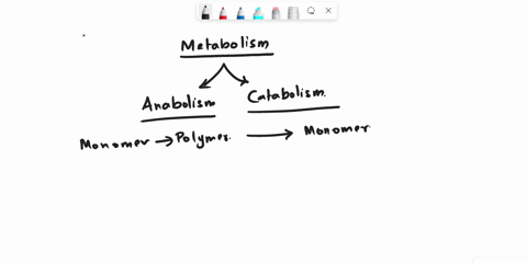 complex-chemical-substances-such-as-carbohydrates-are-the-products-of-a-respiration-b-photosynthesis-c-carbonification-d-nitrification-68135