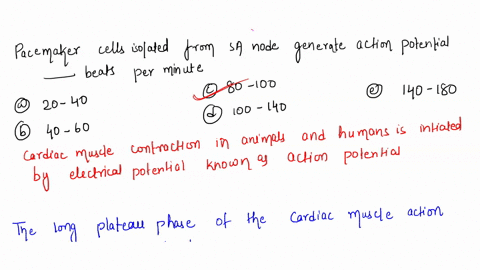 16-pacemaker-cells-isolated-from-the-sa-node-generate-action-potentials-at-minute-beats-per-a-20-40-b-40-60-c-80-100-d-100-140-e-140-180-17-the-long-plateau-phase-of-the-cardiac-muscle-actio-06708