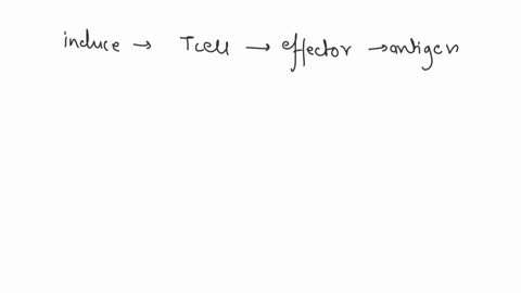 what-occurs-in-an-antibody-mediated-response-select-all-that-apply-cytokines-induce-the-activated-cytotoxic-t-cell-to-divide-repeatedly-and-become-many-effector-cells-and-memory-cells-bearin-47547