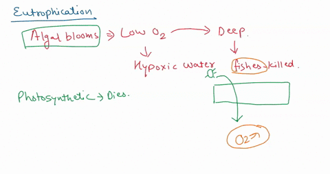 ha-plant-nutrlents-such-as-nitrates-and-phosphates-are-not-directy-toxlc-vet-excessive-fertillzation-of-water-eutrophication-by-these-nutrients-can-result-in-the-death-of-fish-and-other-aqua-83717