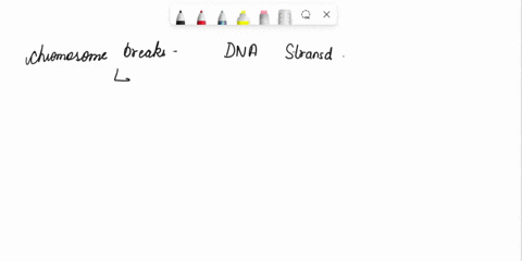 1-when-a-chromosome-breaks-both-dna-strands-are-severed-at-the-a-terminus-b-centromere-c-loci-d-break-point-2-true-or-false-in-terminal-deletion-the-broken-fragment-contains-a-telomere-and-a-08952