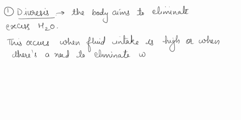 explain-how-the-kidney-tubules-loop-of-henle-renal-medulla-and-adh-work-together-under-conditions-of-diuresis-and-antidiuresis-in-the-mammalian-kidney-97495