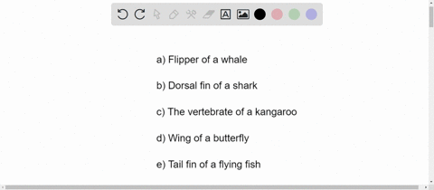 question-39-2-pts-of-the-following-anatomical-structures-which-is-homologous-to-the-wing-ofa-bat-flipper-of-a-whale-dorsal-fin-ofa-shark-the-vertebrae-of-a-kangaroo-wing-of-a-butterfly-tail-29134