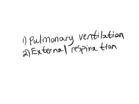 describe-the-four-major-compositions-of-respiration