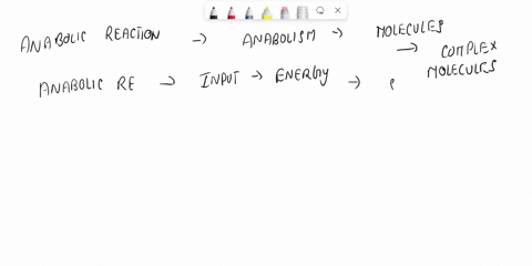 is-the-following-statement-true-or-false-if-false-replace-the-bolded-words-with-words-that-make-the-statement-correct-anabolic-reactions-such-as-protein-synthesis-would-be-more-likely-to-rel-30664