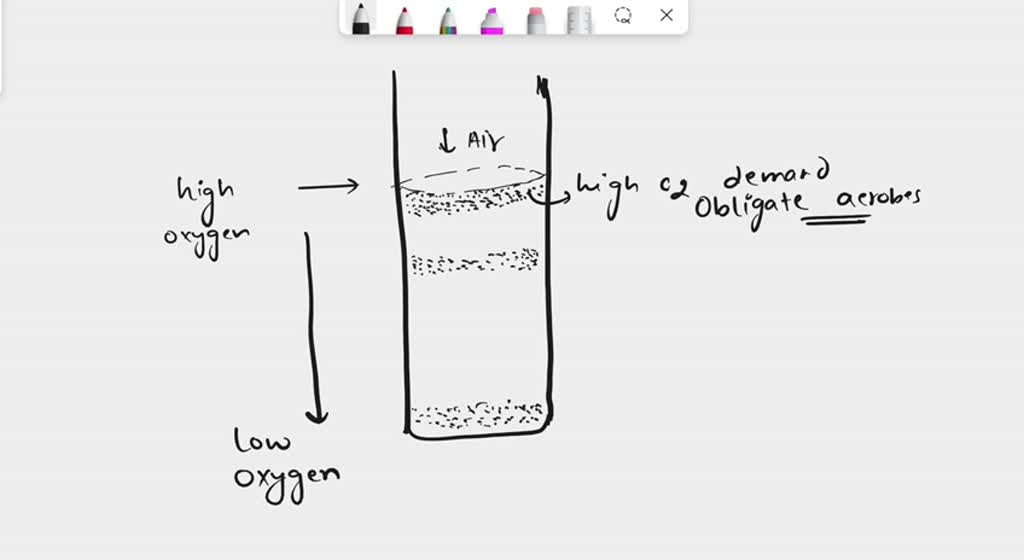 Ftm Growth Pattern SOLVED: of Oxygen on Growth (Ex 24) 0 1 your underslunding of Ihe ...