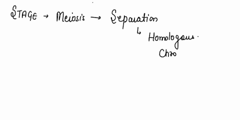 in-which-stage-of-meiosis-does-the-separation-of-homologous-chromosomes-occur-telophase-ii-anaphase-metaphase-ii-prophase-i-anaphase-ii-35213