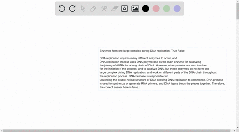 question-8-enzymes-form-one-large-complex-during-dna-replication-true-false-20296
