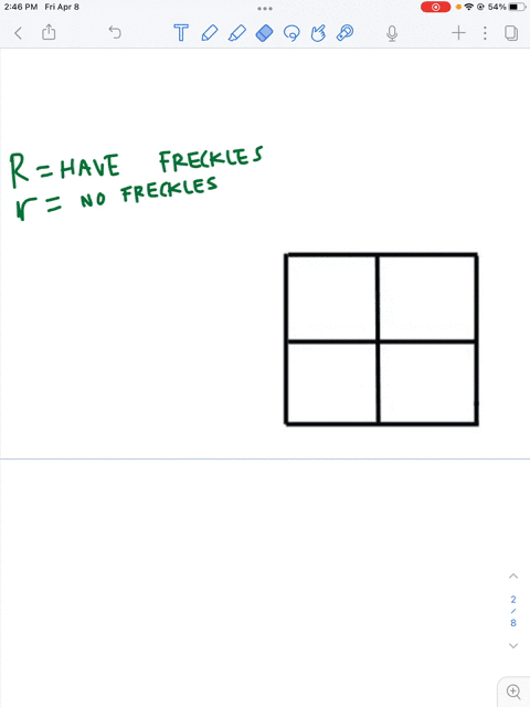 11-tim-and-christine-have-freckles-a-dominant-trait-that-is-not-sex-linked-but-their-son-michael-does-not-use-a-punnett-square-to-show-how-this-situation-is-possible-what-is-the-probability-43978