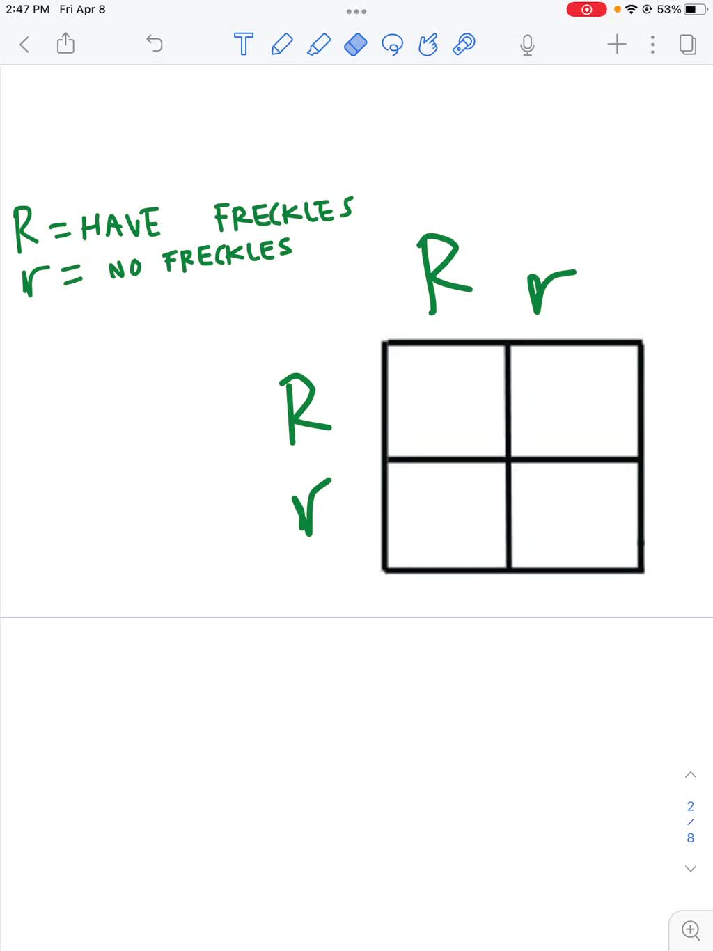 SOLVED: 11. Tim and Christine have freckles (a dominant trait that is not  sex linked), but their son Michael does not. Use a Punnett square to show  how this situation is possible.