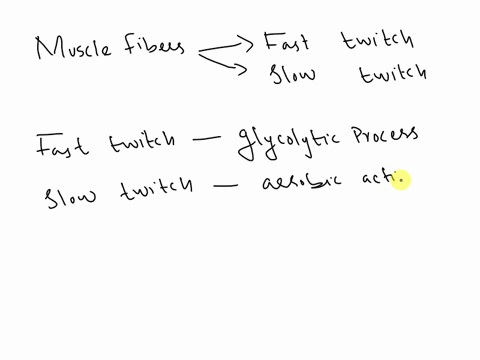 muscle-fibers-come-in-two-generic-types-fast-twitch-and-slow-twitch-fast-twitch-fibers-contract-quickly-and-fatigue-quickly-as-well-they-rely-mainly-on-glycolytic-mechanisms-for-energy-produ-06442