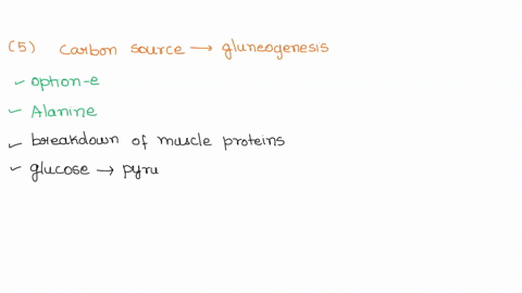 which-of-the-following-molecules-could-be-used-as-a-carbon-source-for-gluconeogenesis-in-animals-explain-for-each-including-which-enzymes-would-be-involved-in-getting-the-substrate-to-the-co-51388