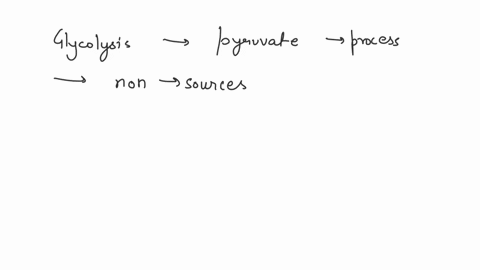 the-breakdown-of-glucose-to-pyruvate-is-a-glycolysis-b-gluconeogenesisc-cellular-respiration-d-beta-oxidation-87202