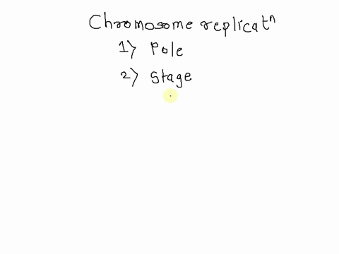 question-1-05-points-listen-when-does-chromosome-replication-occur-in-a-eukaryotic-cell-1-telophase-2-metaphase-anaphase-prophase-5-interphase-48369