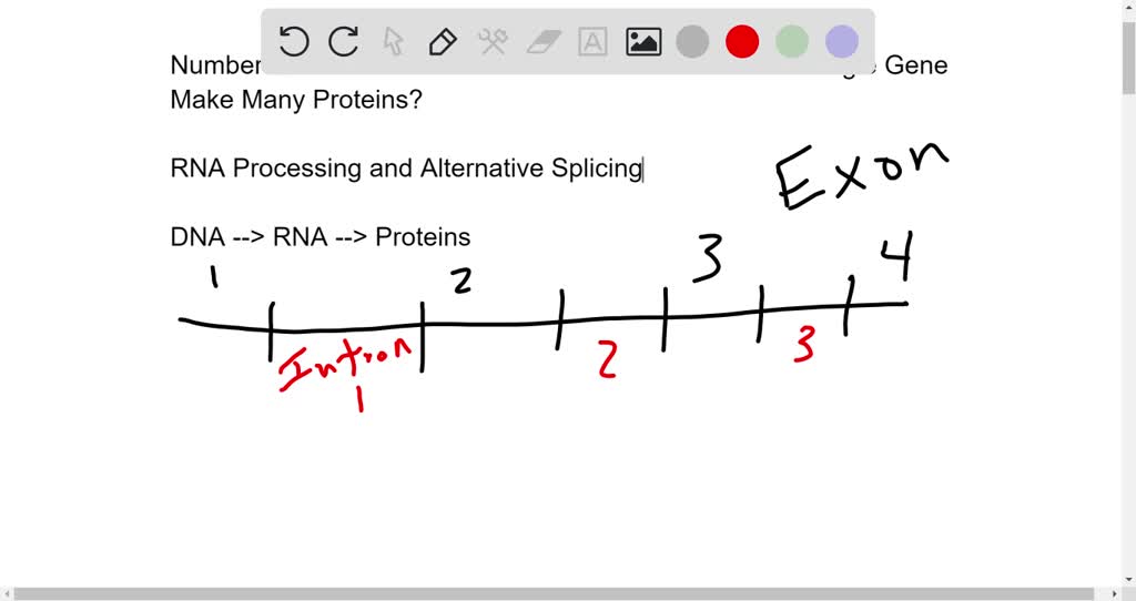 SOLVED what do the numbers of different proteins encoded in the genome