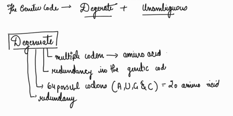 why-is-the-genetic-code-described-as-both-degenerate-and-unambiguous-91482