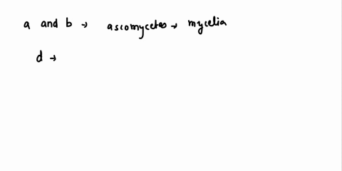 a-mushroom-is-a-the-food-absorbing-region-of-an-ascomycete-b-quad-the-food-absorbing-region-of-a-bas-81418