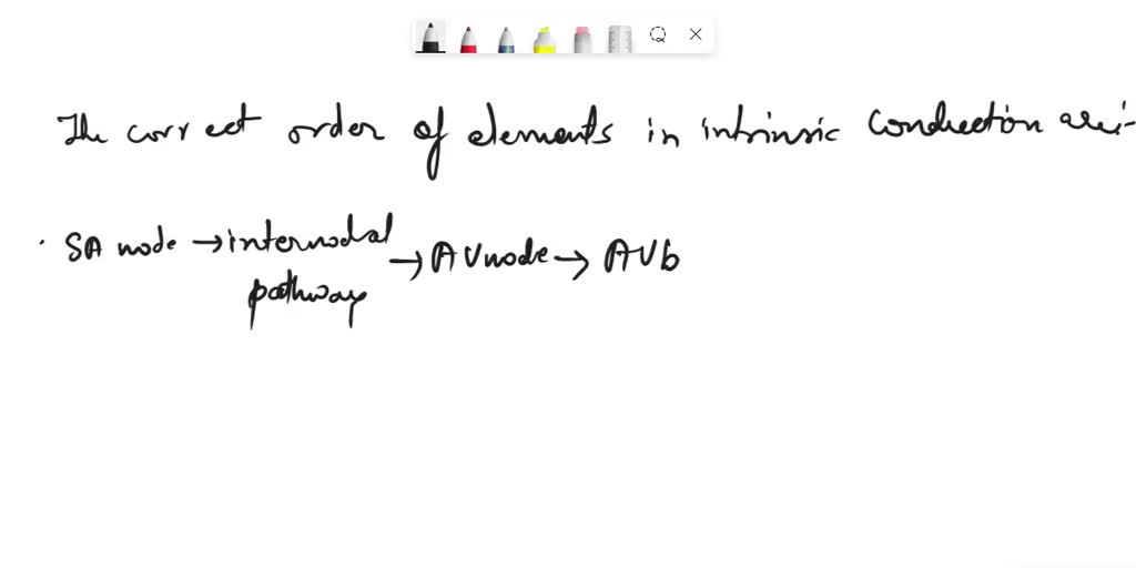 Elements Of The Intrinsic Conduction System