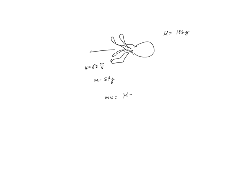 squid-are-the-fastest-invertebrate-swimmers-they-can-reach-up-to-10-ms-using-the-propulsion-of-a-water-jet-they-expel-at-high-speeds-if-a-squid-with-mass-of-182g-including-the-water-it-will-expel-is-i