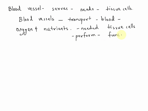 what-type-of-directly-serves-the-needs-of-the-tissue-cells-arterycapillary-or-vein-21514
