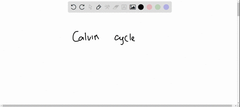 question-8-which-of-the-following-does-not-occur-during-the-calvin-cycle-carbon-fixation-regeneration-of-the-co2-acceptor-oxidation-of-nadph-rclease-of-oxygen-73546
