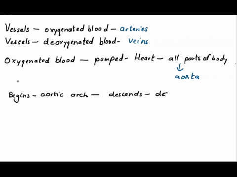 iv-place-the-blood-vessels-in-the-correct-order-fiom-heart-to-ankle-and-back-to-heart-tibial-artery-inferior-vena-cava-common-iliac-artery-femoral-vemn-descending-aorta-aortic-arch-tibial-ve-73846