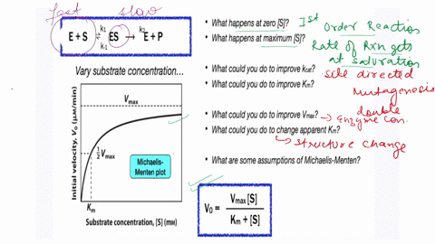 enzyme-kinetics-quick-recap-what-happens-at-zero-s-e5-es-kz-p-what-happens-at-maximum-s-k1-vary-substrate-concentration-l-max-8-vmax-1-michaelis-menten-plot-km-substrate-concentration-s-mm-t-13975