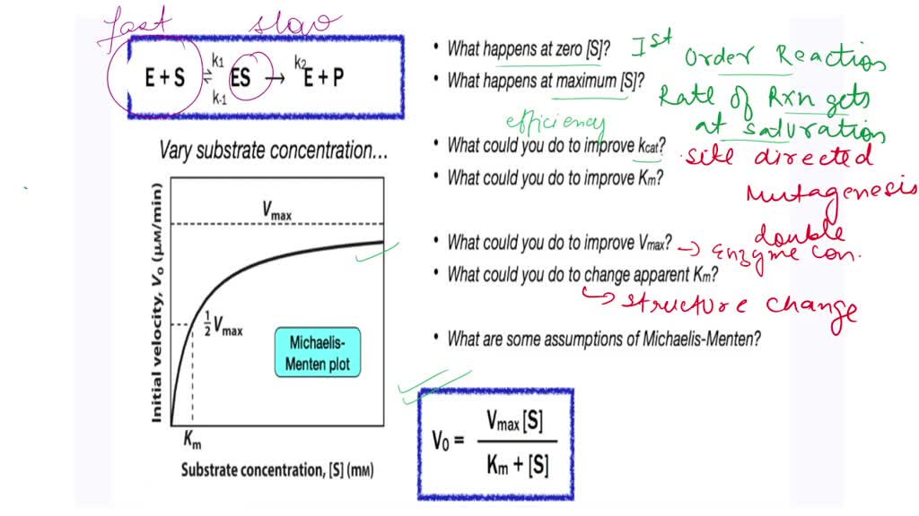 SOLVED Enzyme Quick recap What happens at zero [S]? E + 5 ES