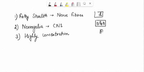 neurons-and-nervous-tissue-matching-match-each-of-the-following-with-their-correct-functiondescription-there-may-be-more-than-one-correct-answer-for-numbered-item-if-so-include-all-correct-a-21028