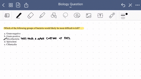 question-19-05-pts-which-of-the-following-groups-of-bacteria-would-likely-be-most-difficult-to-kill-gram-negative-gram-positive-mvcobacteria-spirochete-chlamydia-40917