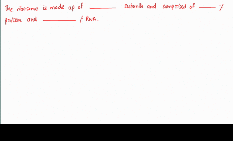the-ribosome-is-made-up-of-______-subunits-is-comprised-of-________-protein-_____-rna-25643