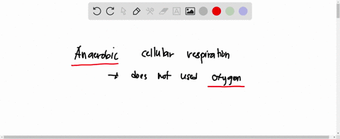 in-order-to-measure-rates-of-anaerobic-cellular-respiration-one-can-measure-__________-aproduction-of-glucose-bproduction-of-ethanol-cproduction-of-water-d-production-of-oxygen-64726