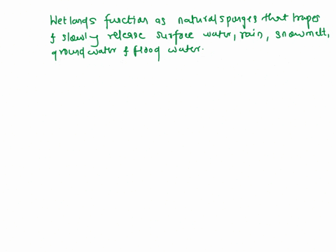 how-do-wetlands-reduce-flooding-and-erosion-32763