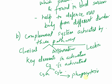 in-regard-to-complement-define-what-the-complement-system-is-describe-the-ways-the-complement-system-can-be-activated-mention-the-key-elements-involved-in-each-type-of-activation-and-what-th-60475