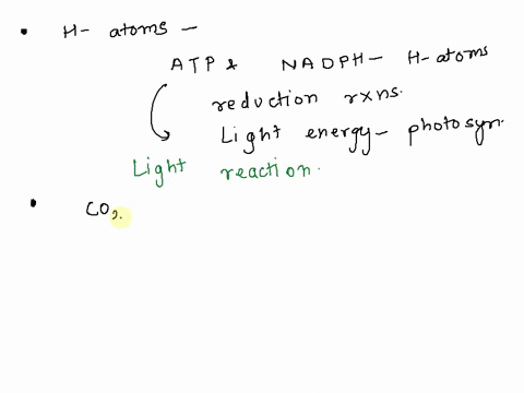 12-the-calvin-cycle-is-series-of-reactions-nadph-atp-cheotic-reactions-that-use-the-main-products-of-the-incorporate-inorganic-carbon-coz-intodnc-light-molecule-chzo-organic-where-did-the-hy-23229