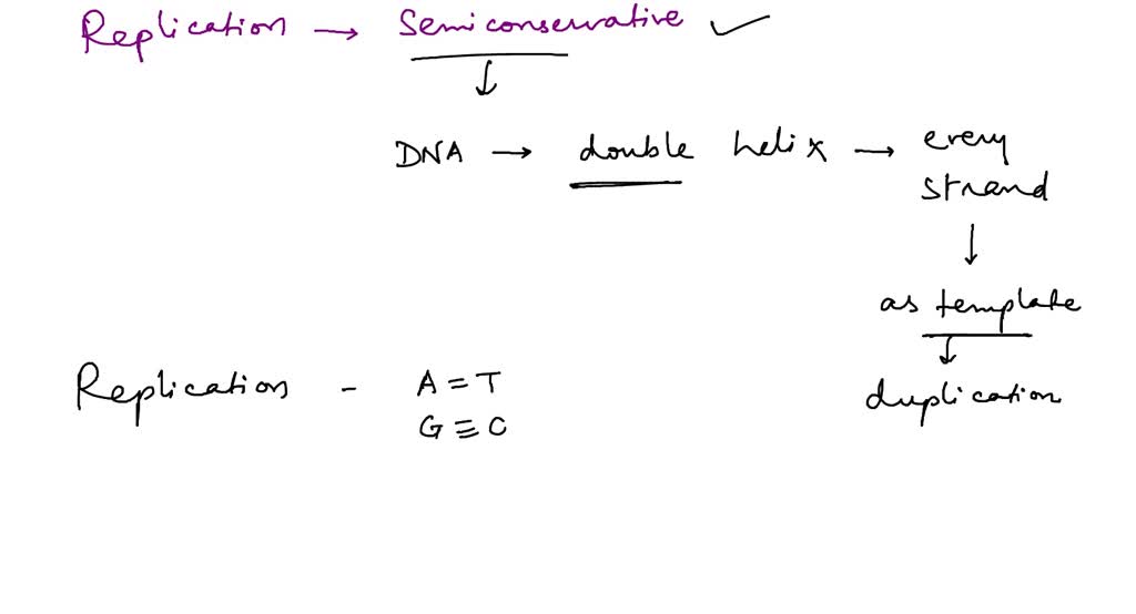 SOLVED Question 12 (1 point) Which of the following statements best