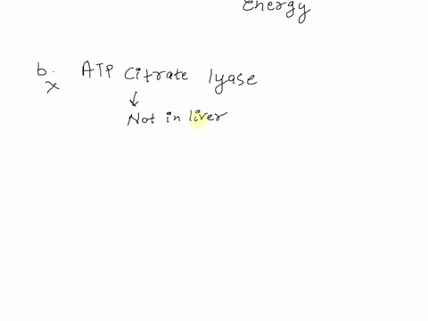 which-of-the-following-enzyme-levels-is-most-likely-to-increase-in-liver-during-a-period-of-prolonged-fasting-a-glucose-6-phosphate-dehydrogenase-b-atp-citrate-lyase-c-phosphoenolpuruvate-ca-59479