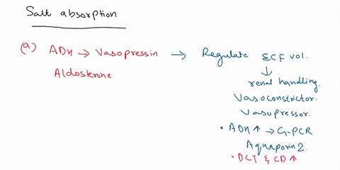 there-are-key-differences-between-the-regulation-of-water-and-salt-reabsorption-when-facing-hypovolemia-or-extracellular-fluid-ecf-hyperosmolarity-and-these-differences-allow-to-maintain-wat-15598