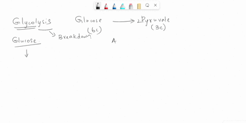 the-atp-made-during-glycolysis-is-generated-byl-electron-transport-substrate-level-phosphorylation-chemiosmosis-photophosphorylation-oxidation-of-nadh-to-nad-02434