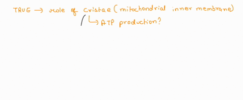 mitochondria-with-extensive-cristae-are-generally-found-in-aerobic-tissue-cells-that-produce-large-quantities-of-atp-such-as-muscle-cells-which-of-the-following-best-describes-how-the-increa-86576