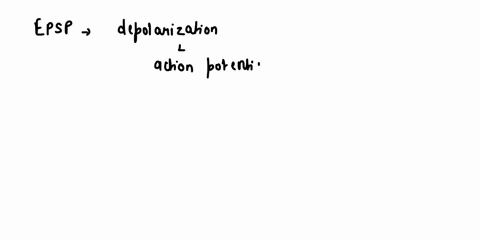 imagine-that-neurotransmitter-binding-results-in-a-depolarization-of-the-postsynaptic-cell-this-is-known-as-an-epsp-ipsp-epsp-or-ipsp-depending-on-the-type-of-neuron-involved-epsp-or-ipsp-de-31958