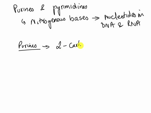 true-or-false-adenine-and-guanine-are-purines-and-thymine-and-cytosine-are-pyrimidines-98389
