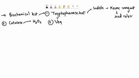 match-the-biochemical-test-with-the-correct-reagent-media-or-result-tryptophanase-test-choose-choose-catalase-reaction-ferric-chloride-reagent-hydrogen-peroxide-reagent-identify-certain-stri-00066