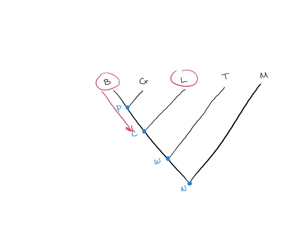 SOLVED: Question 1 (1 point): For each statement about the trees shown