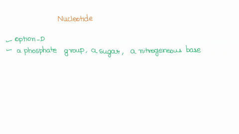 nucleotides-are-made-up-of-select-one-aa-sugar-a-lipid-and-a-peptide-ba-lipid-a-peptide-and-a-nitrogenous-base-ca-phosphate-group-a-peptide-and-a-sugar-phosphate-group-a-sugar-and-a-nitrogen-41643